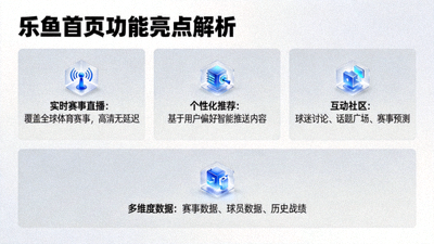 乐鱼首页功能亮点解析示意图